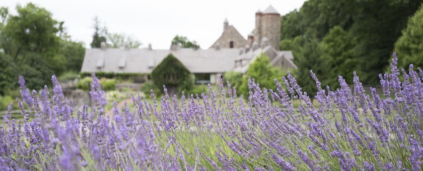 Insider S Tour Stone Barns Center