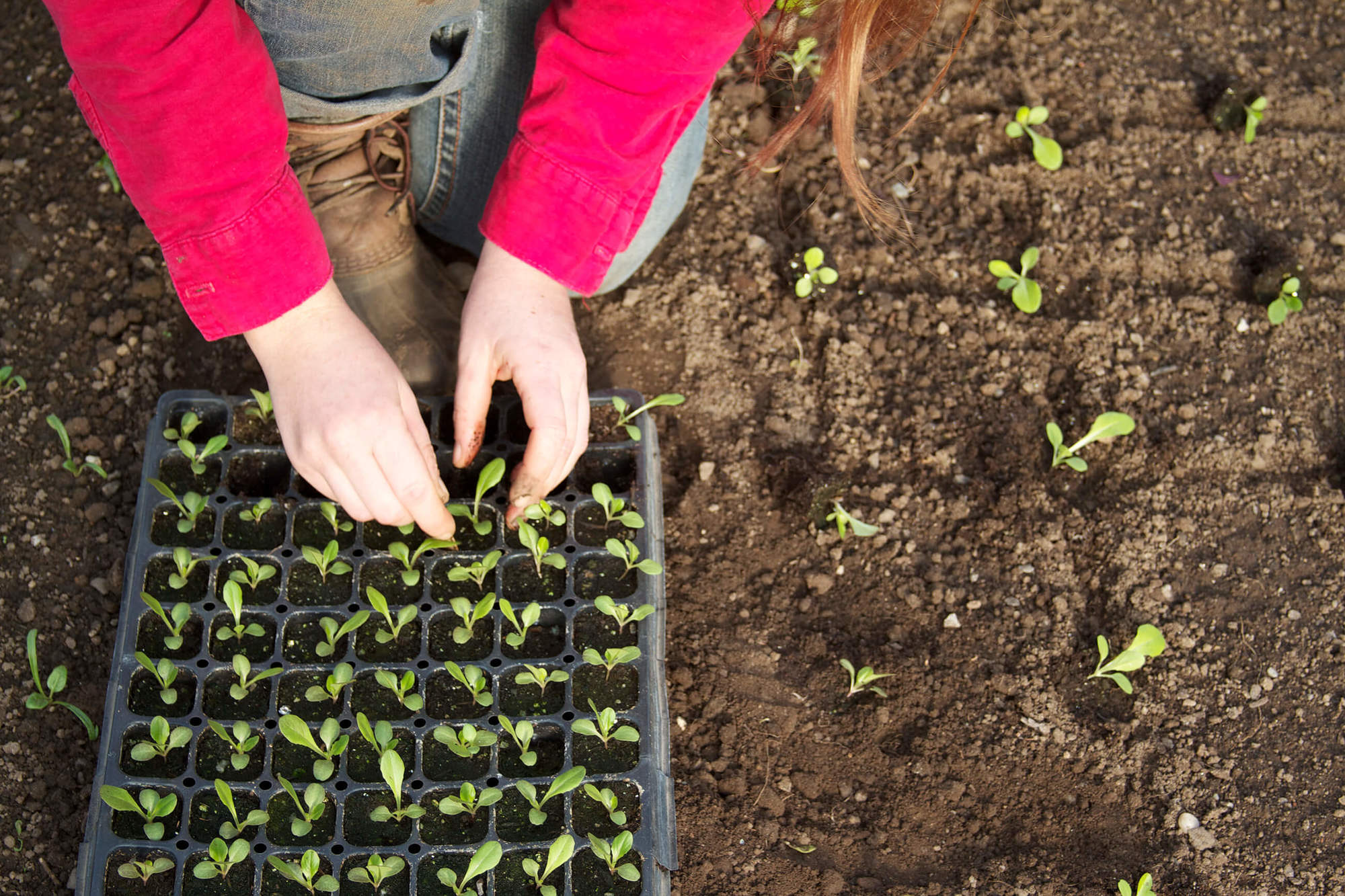 Carbon Farming - Stone Barns Center